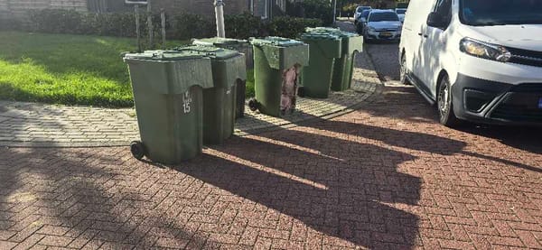 Klantfoto bij RAD NL